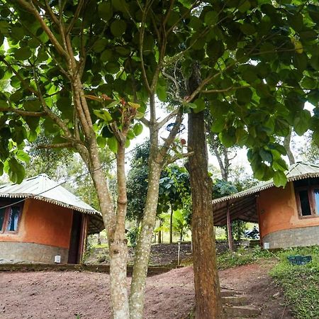 Punarjani Ayurvedic Resorts Ramakkalmedu Exterior foto