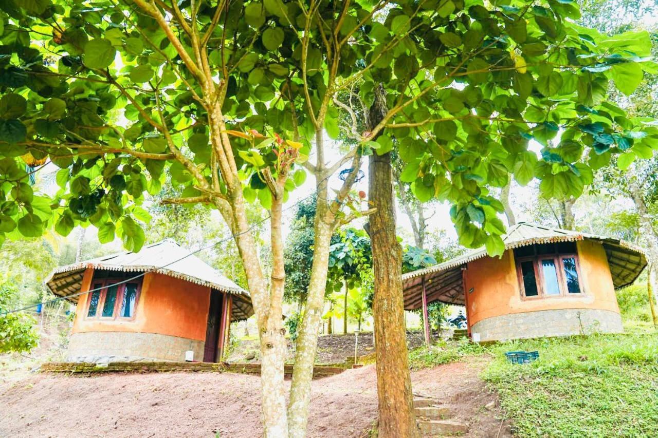 Punarjani Ayurvedic Resorts Ramakkalmedu Exterior foto